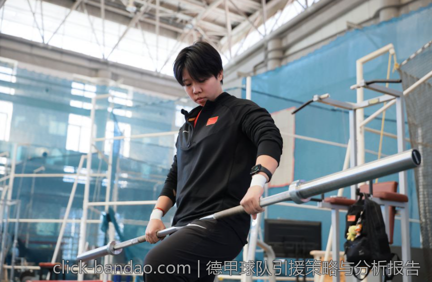 德甲球队引援策略与分析报告