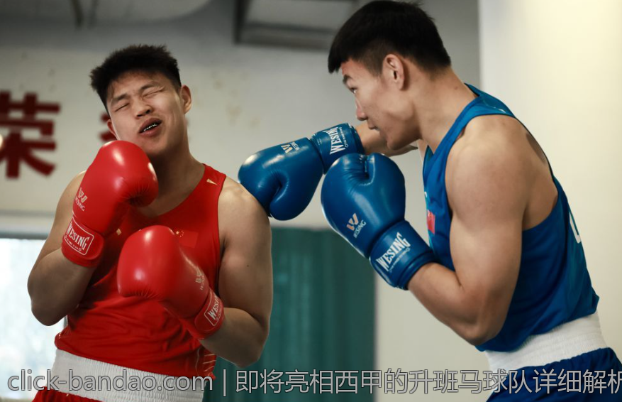 即将亮相西甲的升班马球队详细解析